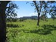 Wingham NSW 2429