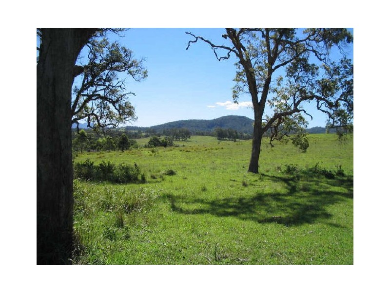 Wingham NSW 2429