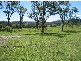 Wingham NSW 2429