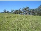 Wingham NSW 2429