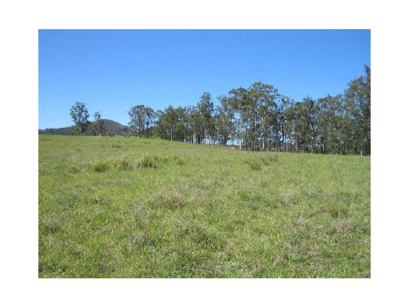 Wingham NSW 2429