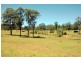 Wingham NSW 2429