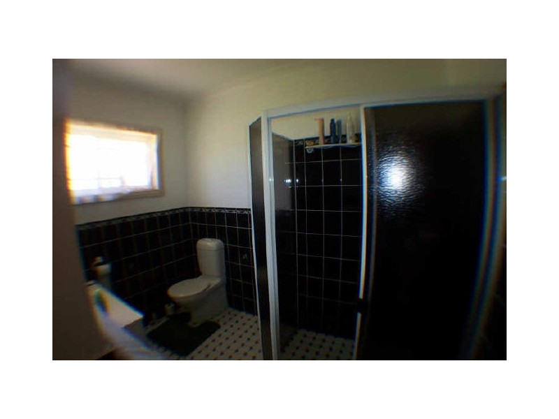 Wingham NSW 2429