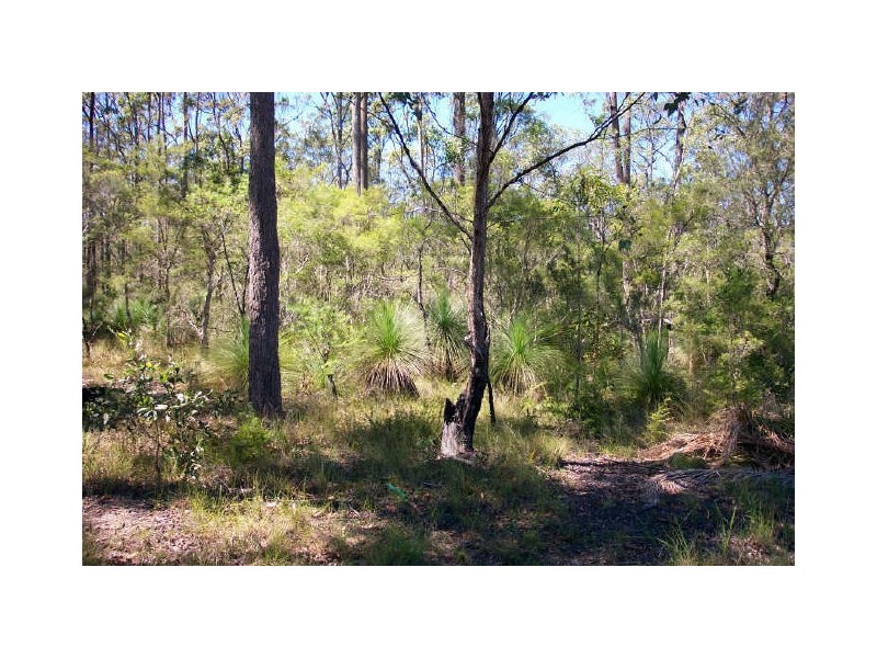 Wingham NSW 2429