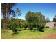 Wingham NSW 2429