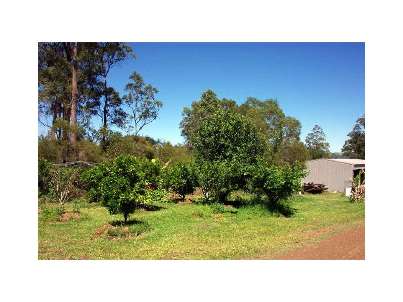 Wingham NSW 2429