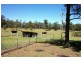 Wingham NSW 2429