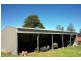 Wingham NSW 2429