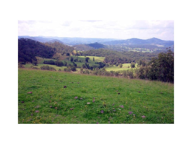 Wherrol Flat NSW 2429