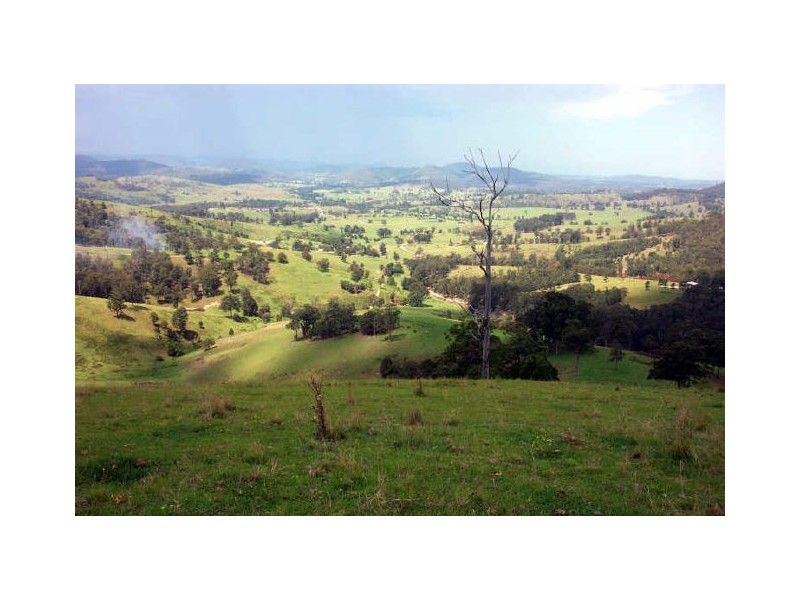 Wherrol Flat NSW 2429