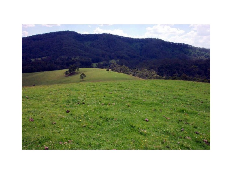 Wherrol Flat NSW 2429