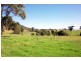 Wingham NSW 2429