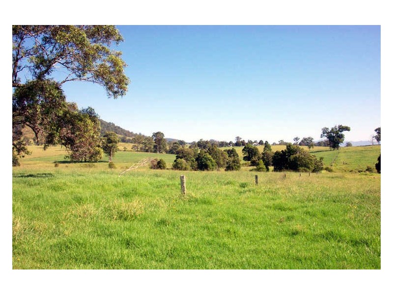 Wingham NSW 2429