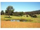 Wingham NSW 2429