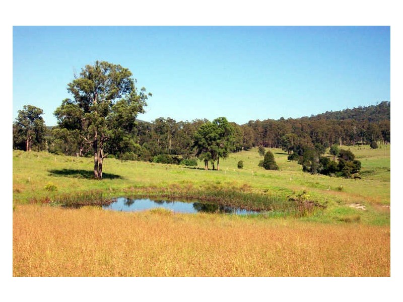 Wingham NSW 2429