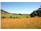 Wingham NSW 2429