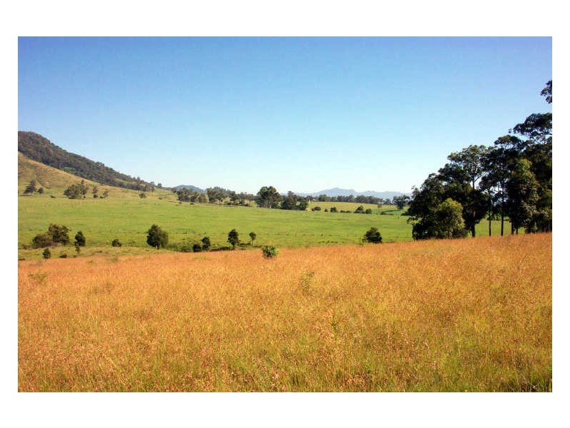 Wingham NSW 2429