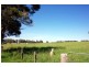 Wingham NSW 2429