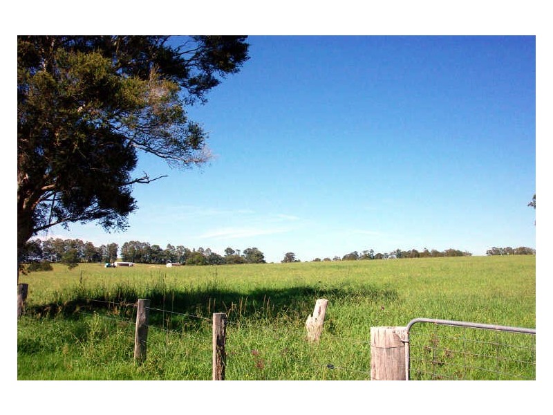 Wingham NSW 2429