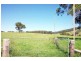 Wingham NSW 2429