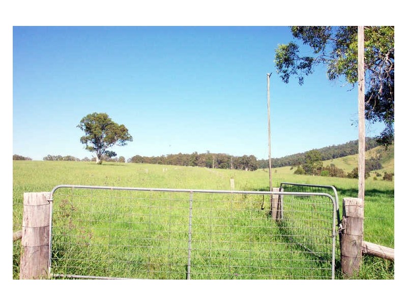 Wingham NSW 2429