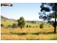 Wingham NSW 2429