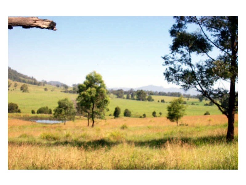 Wingham NSW 2429