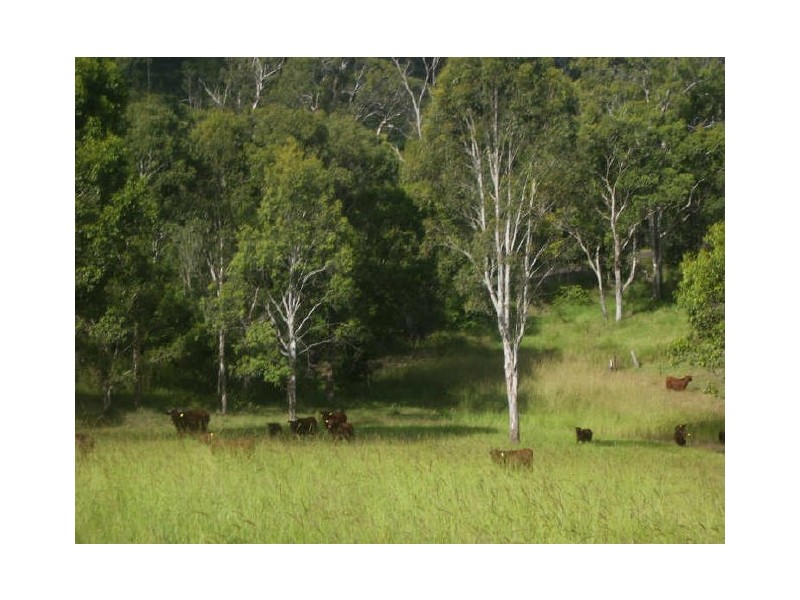 Knorrit Flat NSW 2424