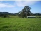 Knorrit Flat NSW 2424
