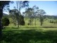 Knorrit Flat NSW 2424