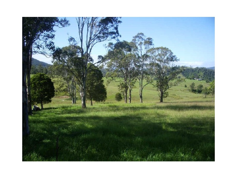 Knorrit Flat NSW 2424