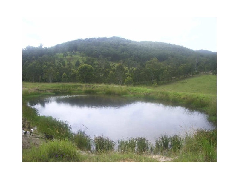 Knorrit Flat NSW 2424