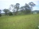 Knorrit Flat NSW 2424