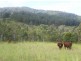Knorrit Flat NSW 2424