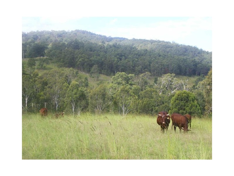 Knorrit Flat NSW 2424