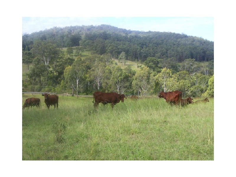 Knorrit Flat NSW 2424
