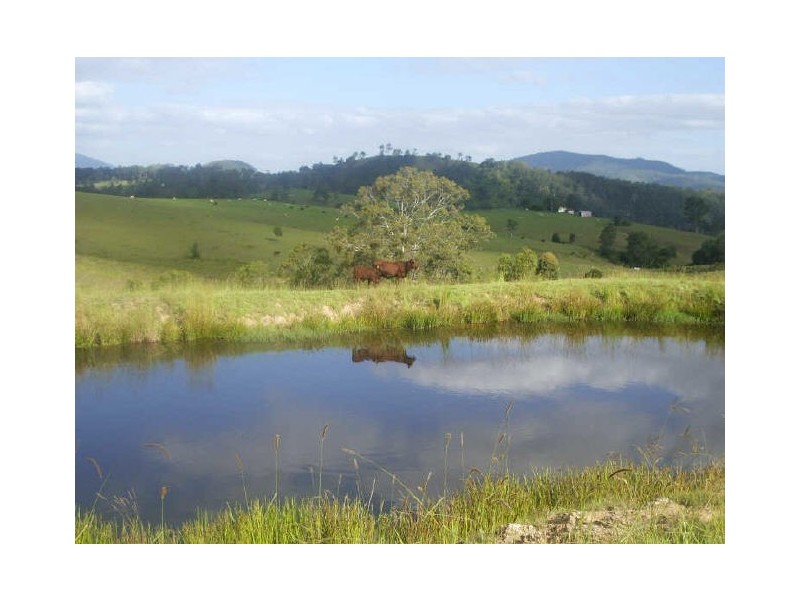 Knorrit Flat NSW 2424