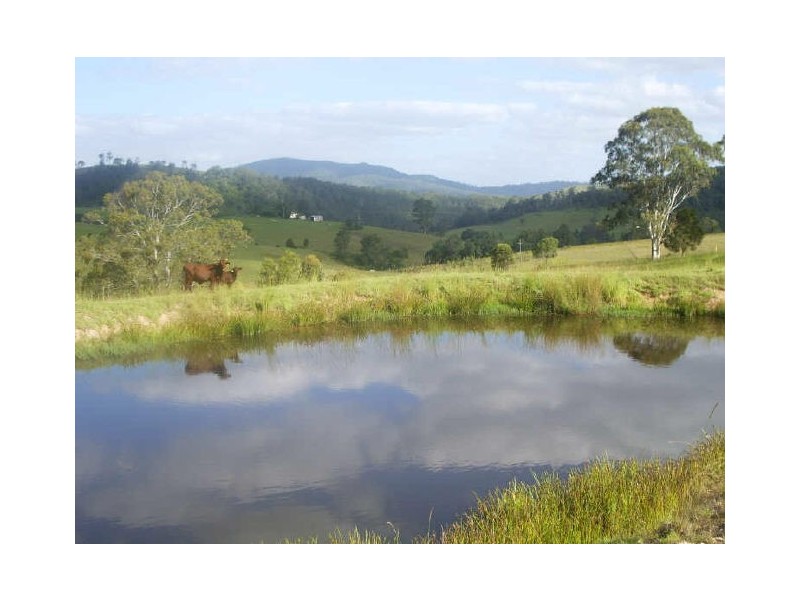 Knorrit Flat NSW 2424