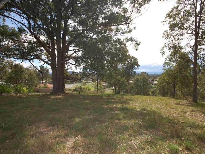 Wingham NSW 2429