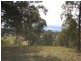 Wingham NSW 2429