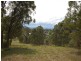 Wingham NSW 2429
