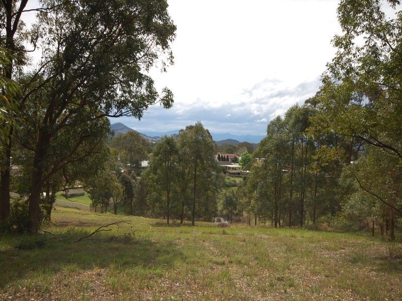 Wingham NSW 2429