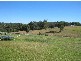 Wingham NSW 2429