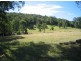 Marlee NSW 2429