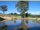 Marlee NSW 2429