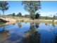 Marlee NSW 2429