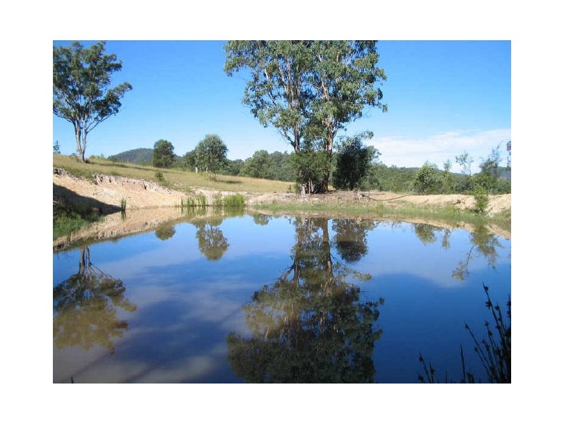 Marlee NSW 2429