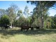 Marlee NSW 2429