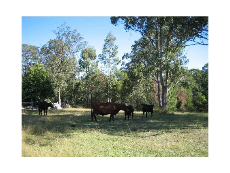 Marlee NSW 2429
