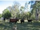 Marlee NSW 2429